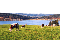 Lac St Point (photo JACQUEMET)